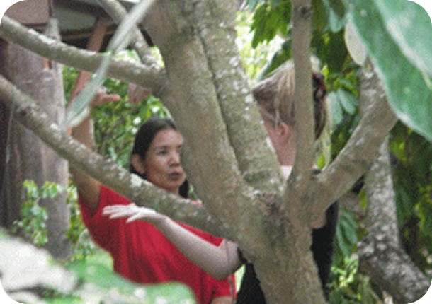 Thai massage image 2862