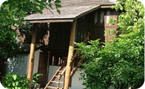 The House of the White Elephant. img 1