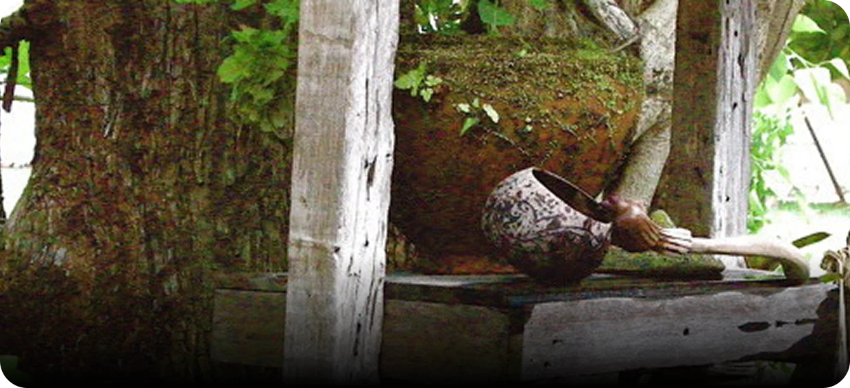 services img ]Rectangle 23783