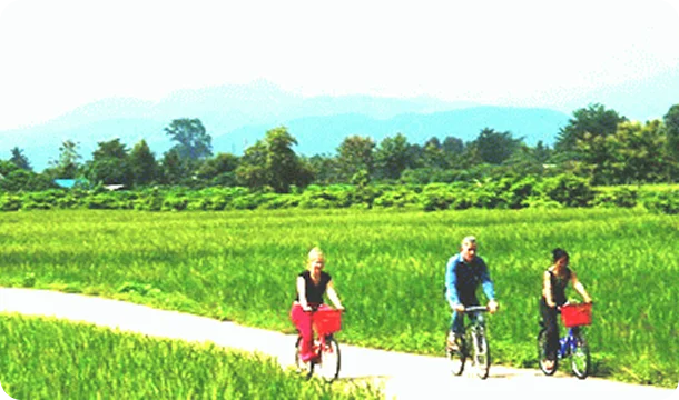 where We are in South East Asia im6